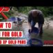 XP Gold Prospectors 11" Gold Pan